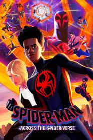 Spider-Man: Across the Spider-Verse 🎬